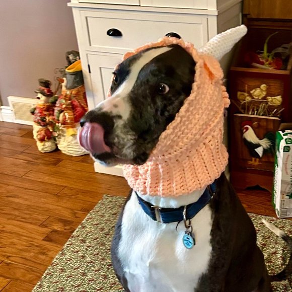 Crochet Unicorn Dog Hat - Picture 1 of 2